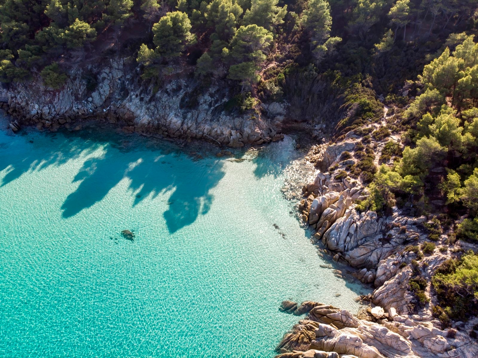 Felsküste und türkisfarbenes Wasser einer Bucht auf Mallorca