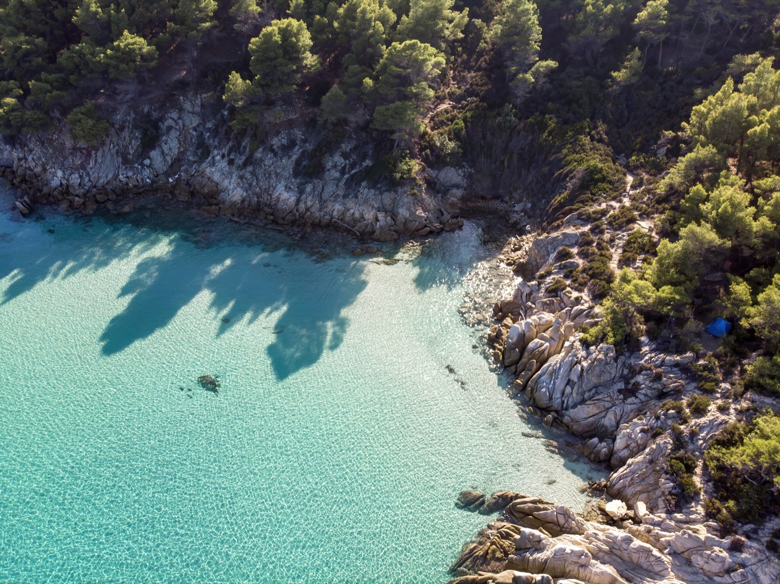Cala tranquila de Mallorca con agua turquesa